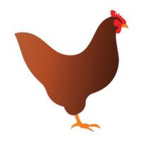 Activiteitenteam De Taxander