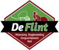 De Flint